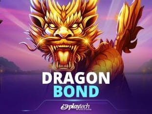 Dragon Bond game thumbnail