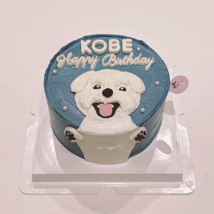 Nella Kharisma avatar